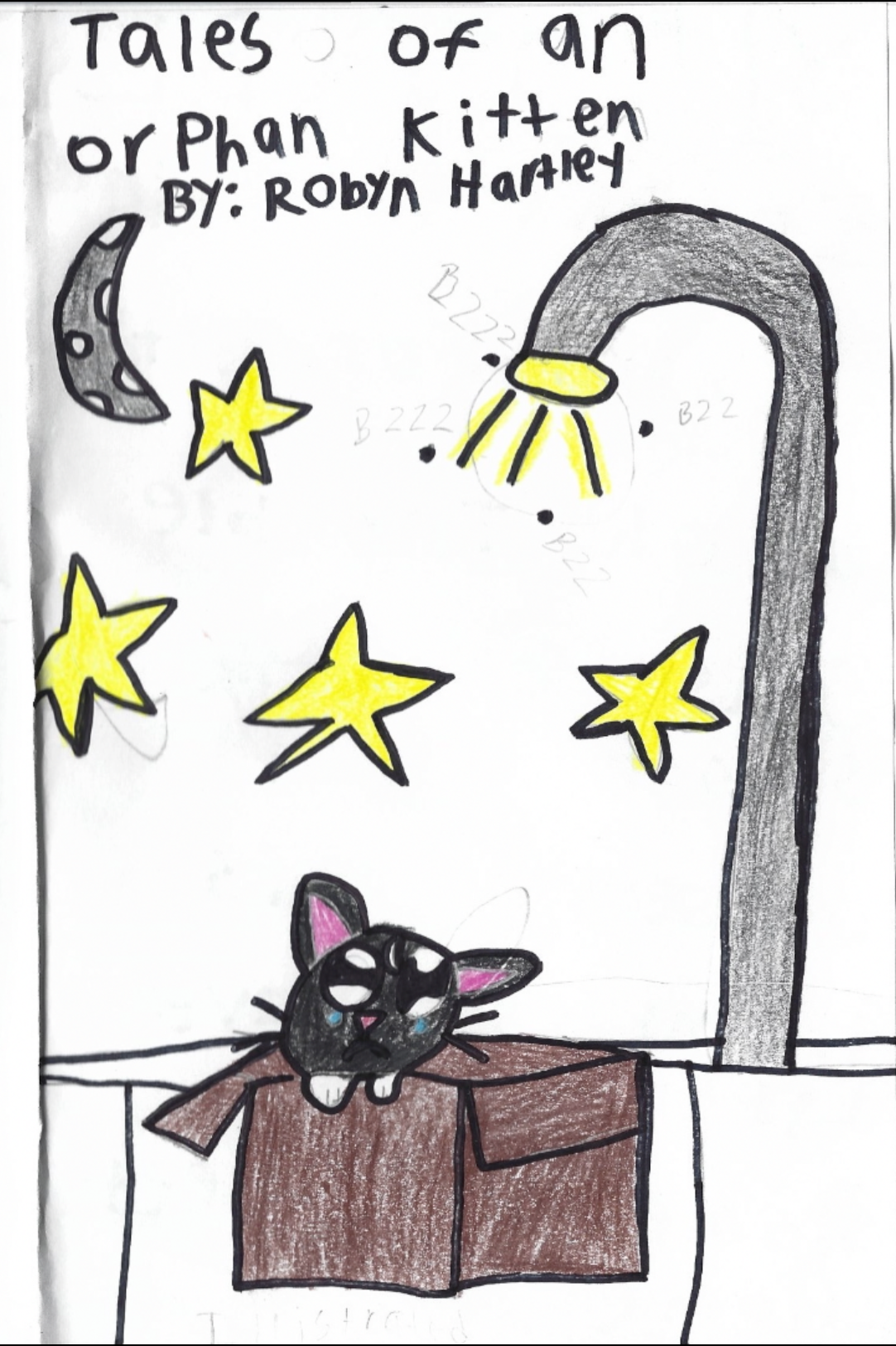 Tales of an Orphan Kitten